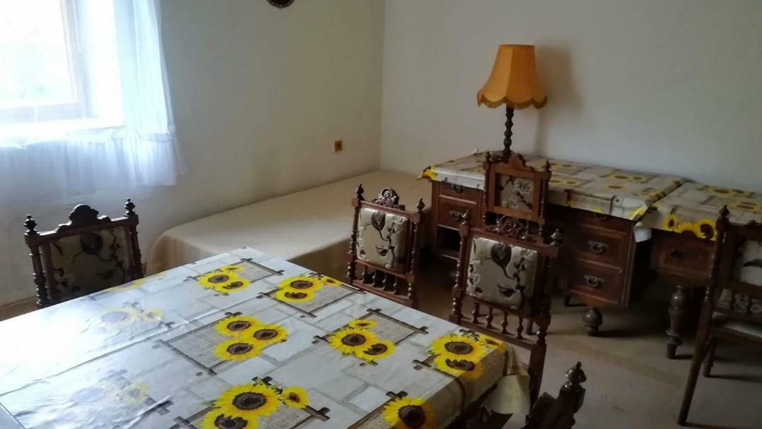 Pronajem Pokoju Belle Vue Διαμέρισμα Vranov nad Dyjí Εξωτερικό φωτογραφία