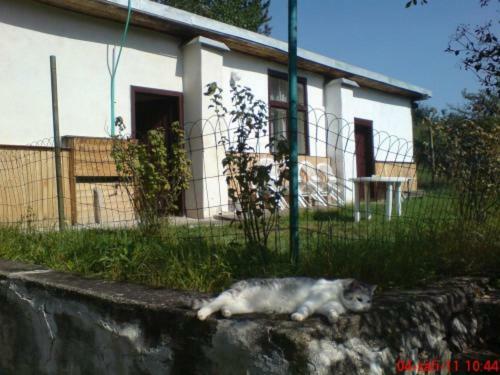 Pronajem Pokoju Belle Vue Διαμέρισμα Vranov nad Dyjí Εξωτερικό φωτογραφία